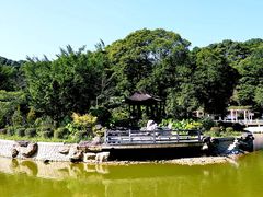 -广州市帽峰山景区
