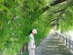 -南通洲际绿博园