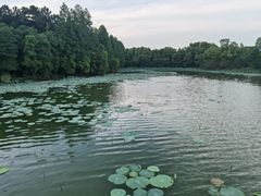 -东湖落雁景区