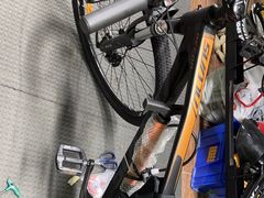 -道路口单车爱瓦士dahon大行