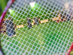 -京体华人天下羽毛球馆