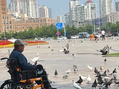 -大连人民广场