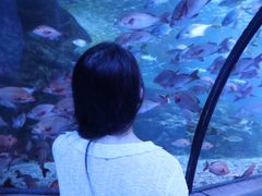 -太平洋海底世界