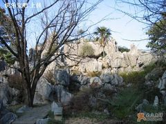 -千岛湖石林