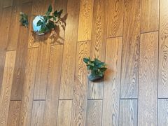 -爱江山温泉(凌奥店)