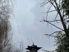 -武汉园博园(武汉自然博物馆)