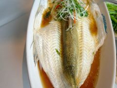 -翡翠江南(国贸商城店)