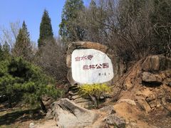 -白水寺森林公园