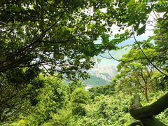 -梧桐山风景名胜区