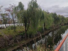 -上海山野camping·户外天幕烧烤·团建拓展营地