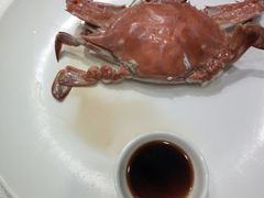 -赶海部落海鲜城(海阳路店)