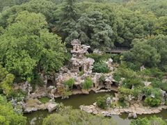 -红梅公园