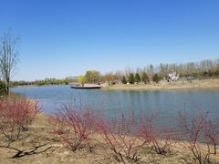 -东郊湿地公园
