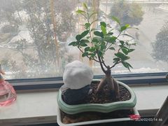-冷记卤品(三弓路店)