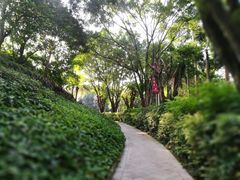 景观位-凯茵庭中餐厅(中山雅居乐长江酒店)