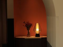 -阿妮叶李(光谷世界城店)