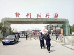 -曹州牡丹园