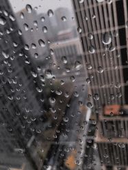 -净漪造型 PURE RIPPLE