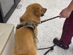 -瑞派康怡24h宠物医院·犬猫医疗中心·微创绝育(瑞景分院)