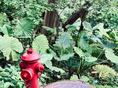 -福建鲤鱼洲酒店