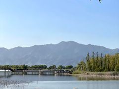 -野鸭湖国家湿地公园