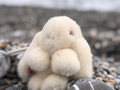 -七星潭蓝天广场
