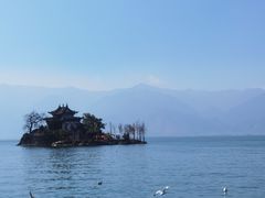 -小普陀