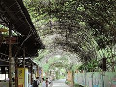 -野象谷景区