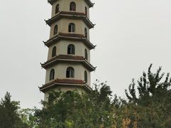 -商丘市人民公园