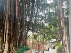 -乌山风景区
