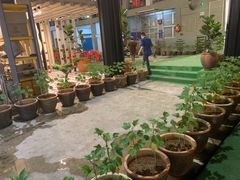 -都念榴莲·城市榴莲