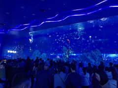 -石家庄极地海洋世界
