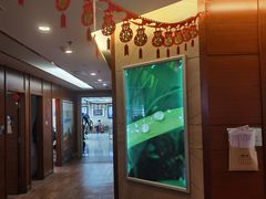 -欢乐口腔(望京分院)