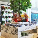 国贸‖适🈴过年聚会带长辈一起吃的"中餐胃"自助