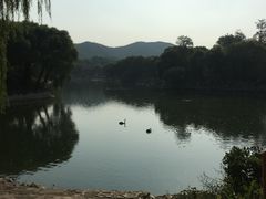 -辛玛王国游乐园