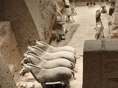 -秦始皇帝陵博物院(兵马俑)
