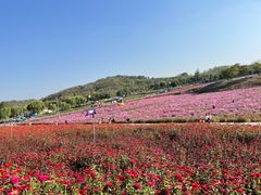 -六合国家地质公园桂子山景区