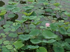 -龙环葡韵住宅式博物馆