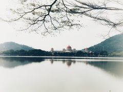 -顺峰山公园