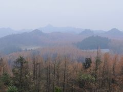 -山王坪喀斯特国家生态公园