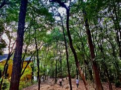-灵岩山风景区