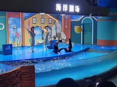 -重庆欢乐海底世界