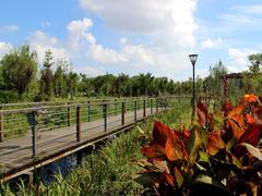 -昆山城市生态森林公园