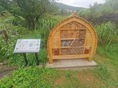 -浙西天池景区