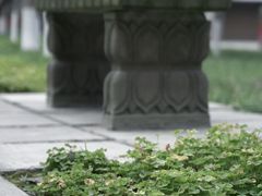 -宝光寺