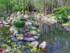 -上海共青森林公园