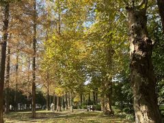 -中南财经政法大学(首义校区)