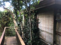 -三亚亚龙湾人间天堂鸟巢度假村