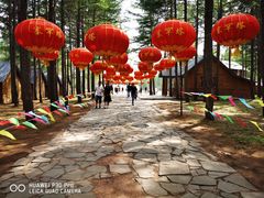 -塞罕坝国家级自然保护区