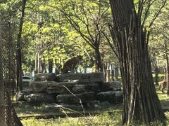 -秦皇岛野生动物园